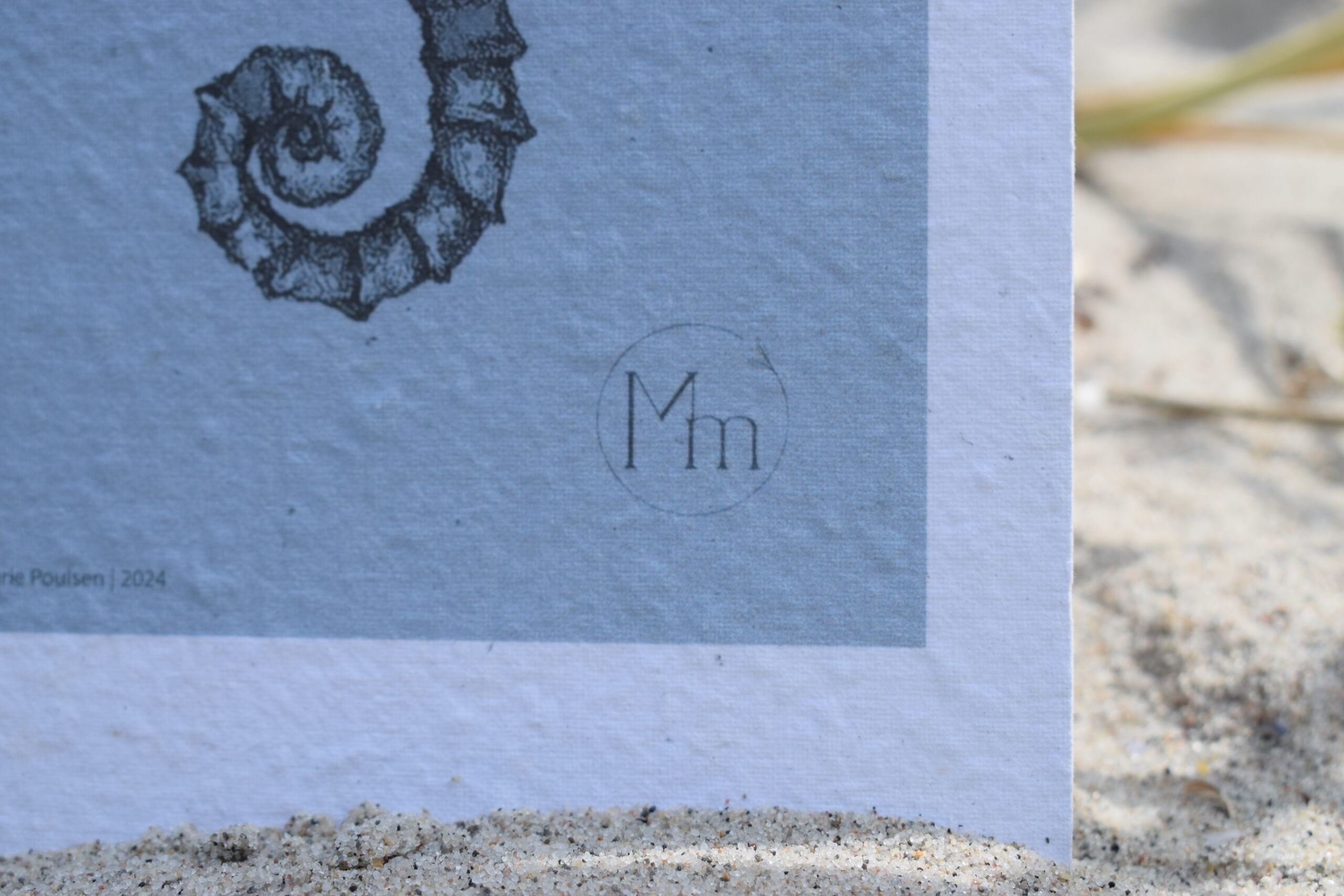 Dette billede har en tom ALT-egenskab (billedbeskrivelse). Filnavnet er DSC_0064-scaled.jpg