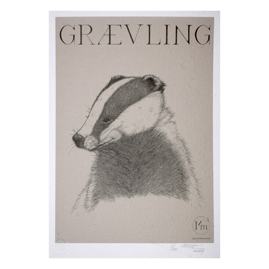 Grævling (kunsttryk, ca. A4) - Limited edition