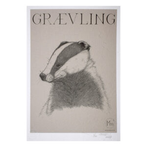 Grævling (kunsttryk, A4) - Limited edition