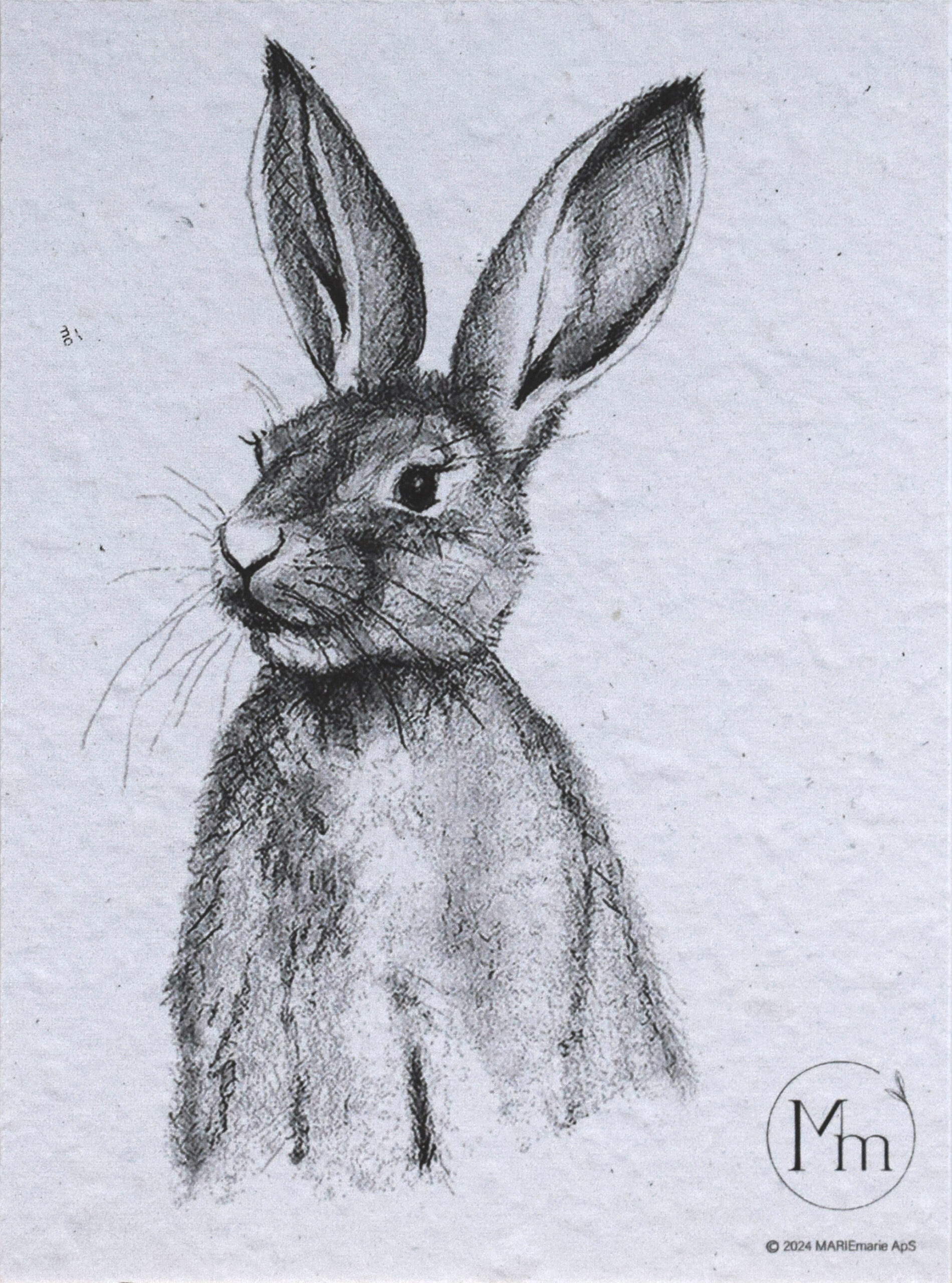 Hare (kunsttryk, A5) - Billede 2