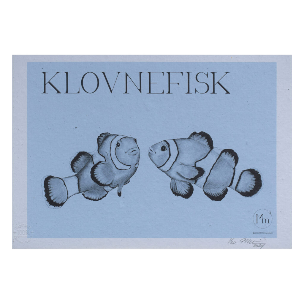 Klovnefisk (kunsttryk, ca. A4) – Limited edition