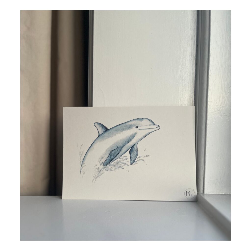 Delfin (kunstkort, A5)