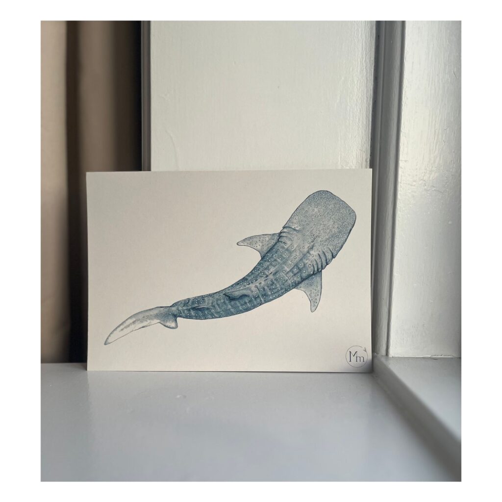 Hvalhaj (kunstkort, A5)