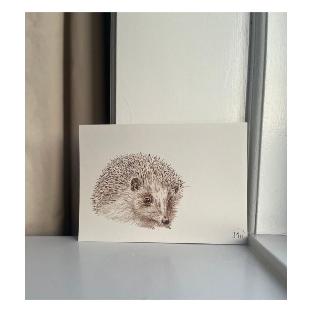 Pindsvin (kunstkort, A5)