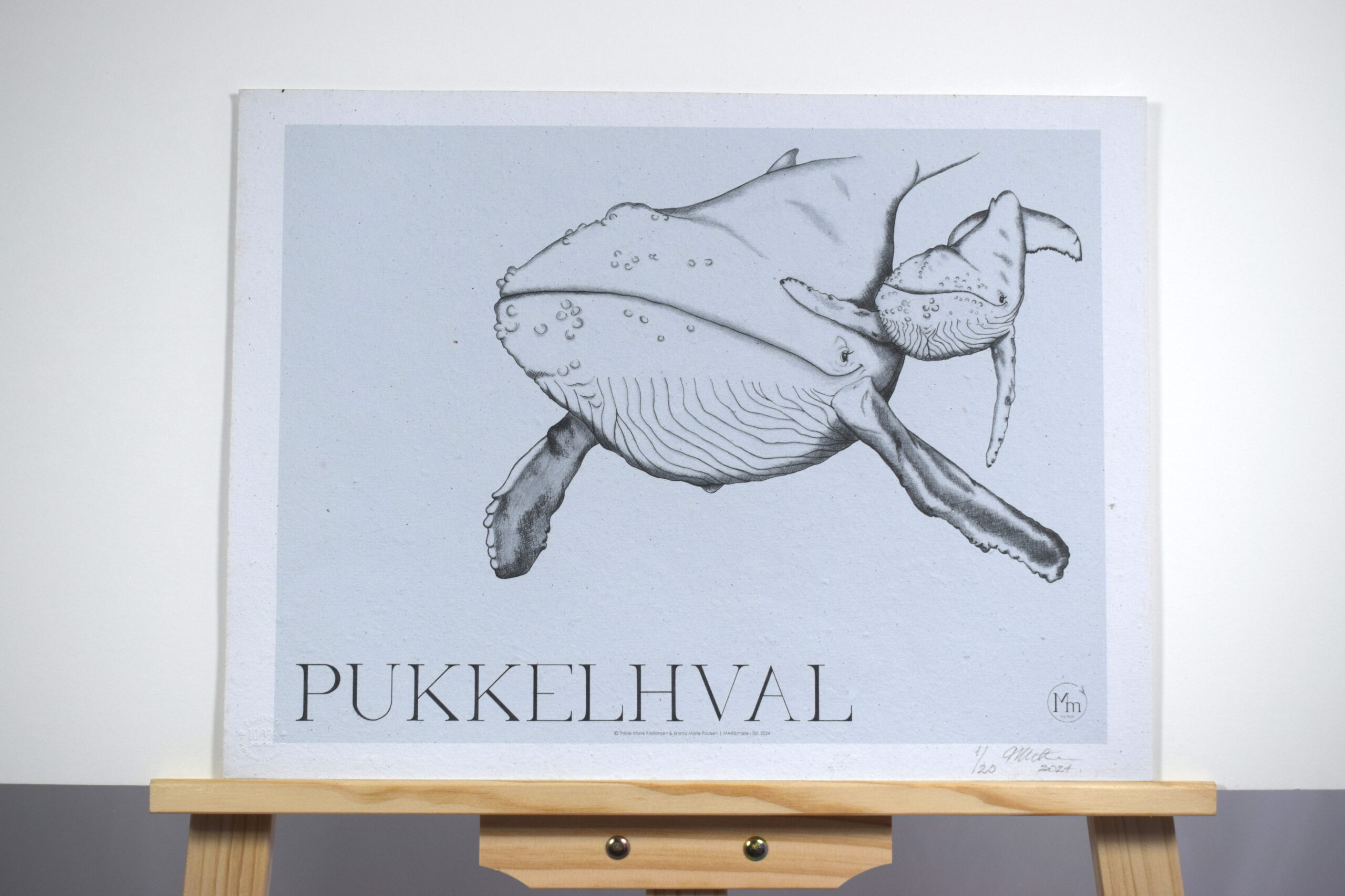 Pukkelhval (kunsttryk, 30x40) - Limited edition - Billede 2