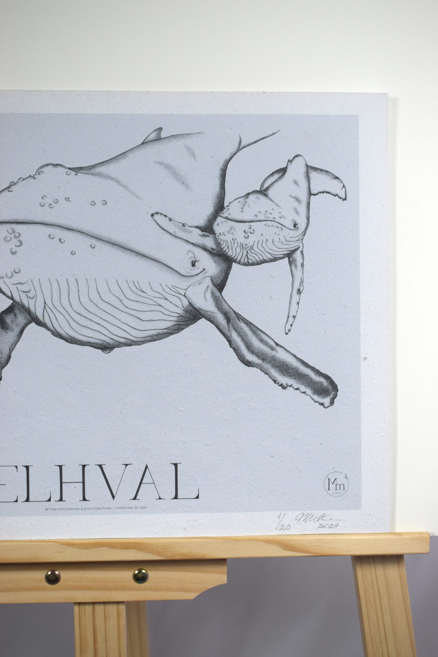 Pukkelhval (kunsttryk, 30x40) - Limited edition - Billede 3