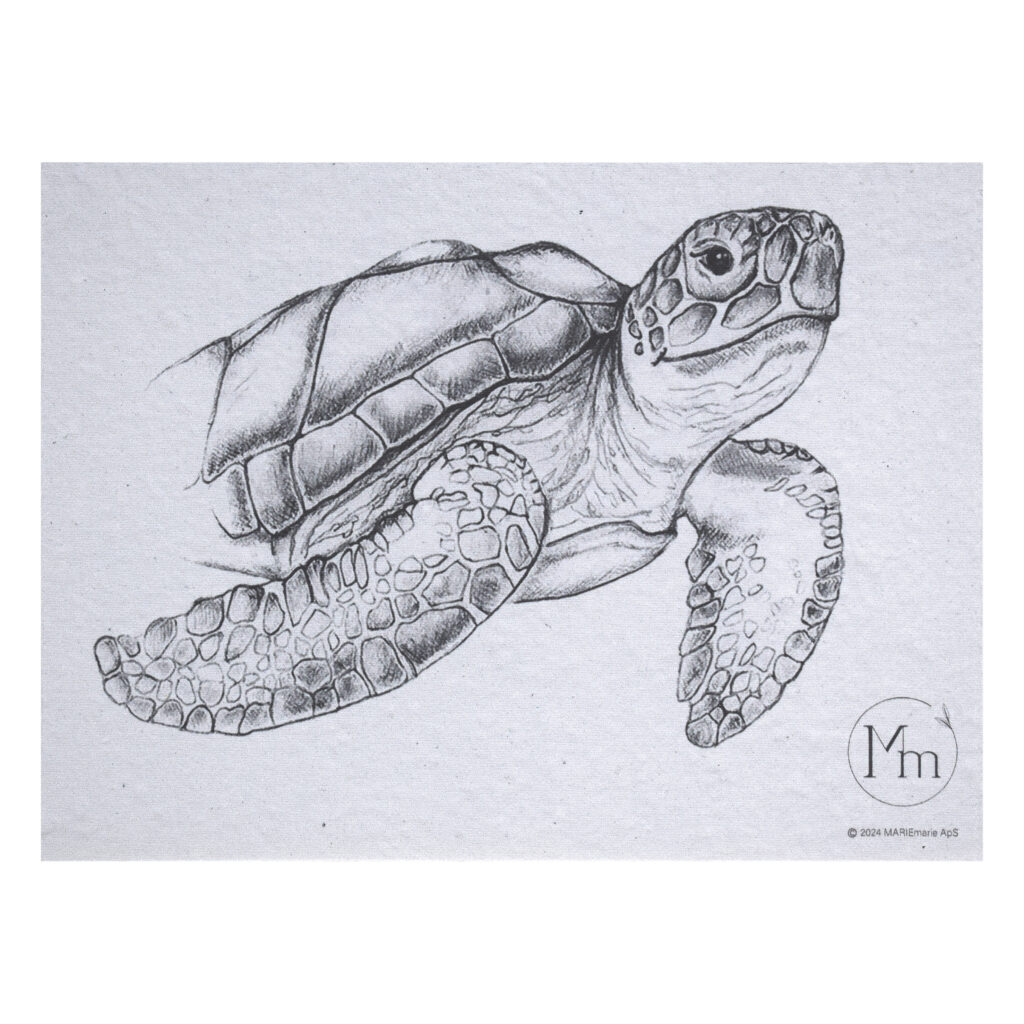Havskildpadde (kunsttryk, ca. A5)