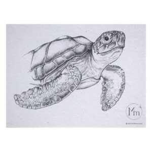 Havskildpadde (kunsttryk, A5)