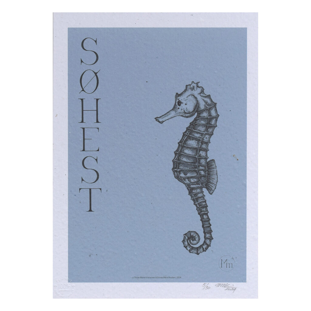 Søhest (kunsttryk, ca. A4) - Limited edition