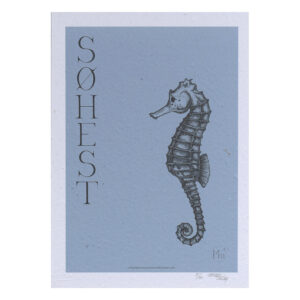 Søhest (A4) - Limited edition
