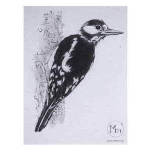 Stor flagspætte (kunsttryk, A5) - Limited edition